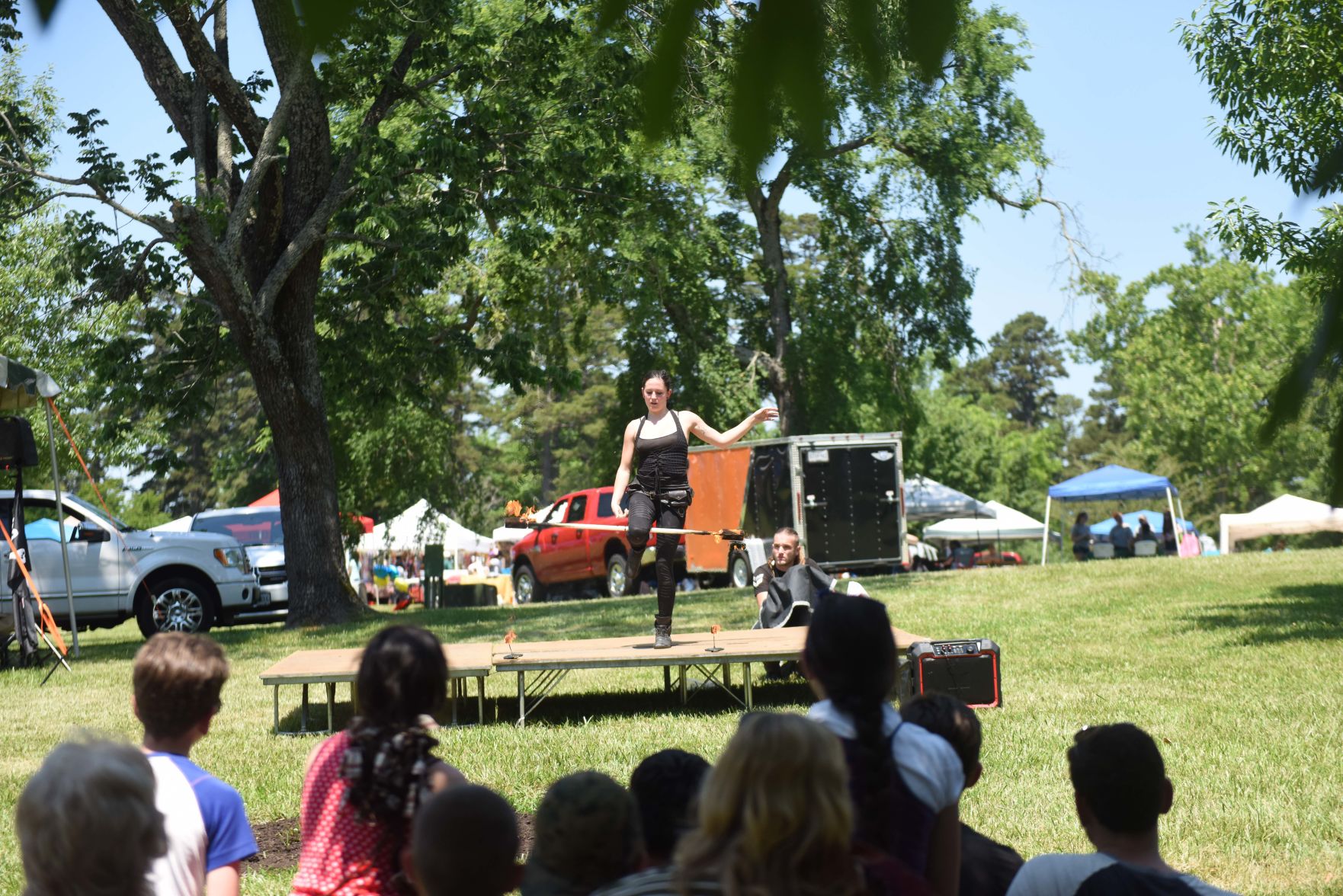Festival in the Park